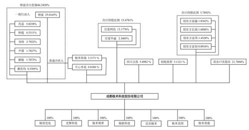 極米投影的網(wǎng)紅之路 業(yè)務(wù)集中與核心技術(shù)的雙重挑戰(zhàn)